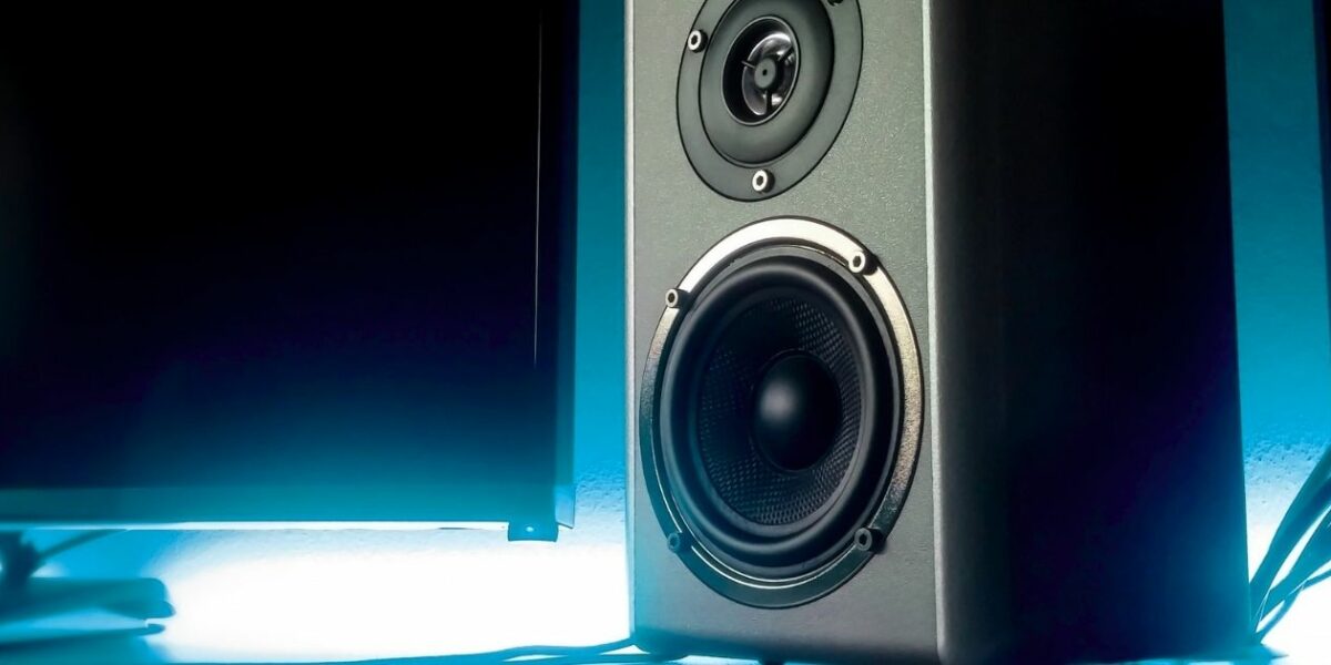 Qu’est-ce qu’une enceinte de monitoring ?
