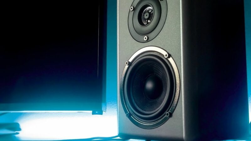 Qu’est-ce qu’une enceinte de monitoring ?